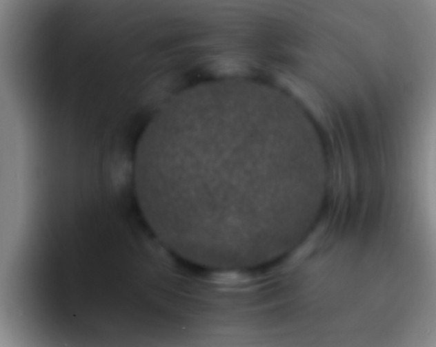 X0000092290281200709211219