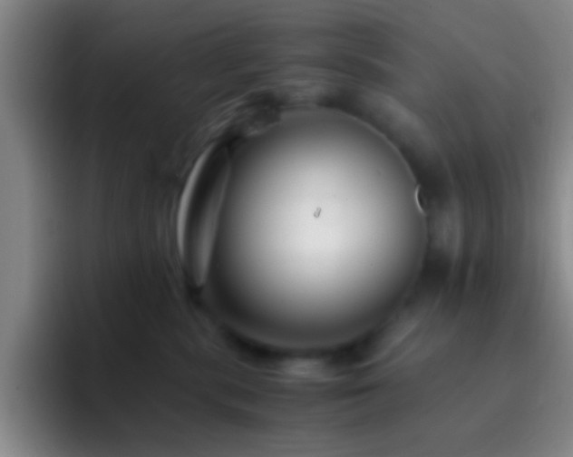 X0000092290283200709211219