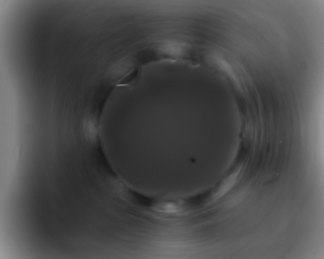 X0000092290285200709211219