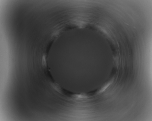 X0000092290286200709211219