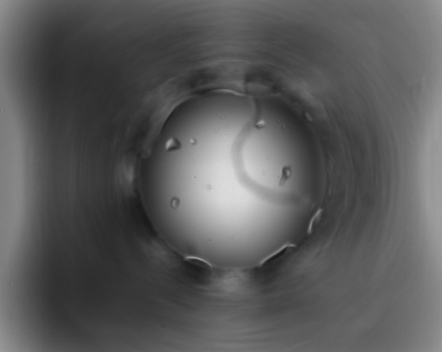 X0000092290288200709211219