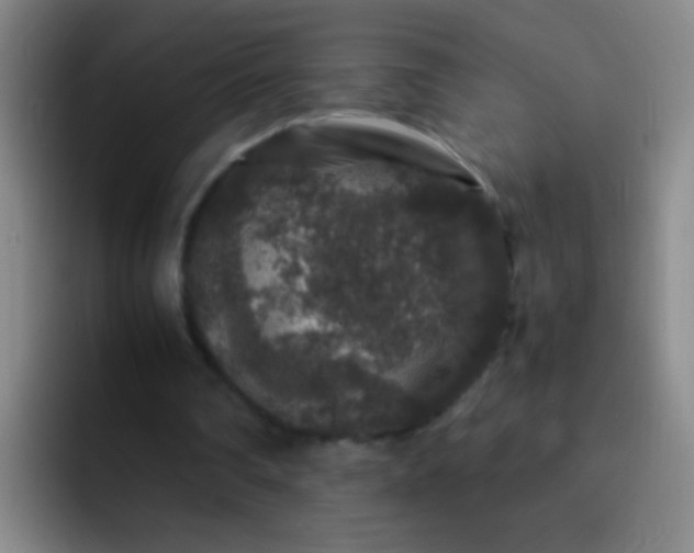 X0000092290290200709211218