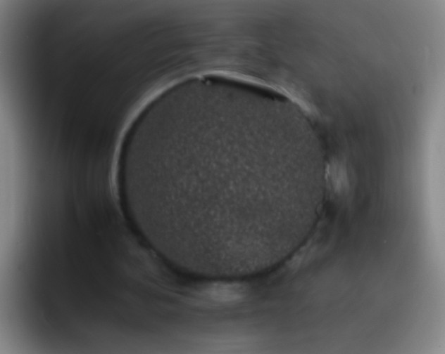 X0000092290292200709211218