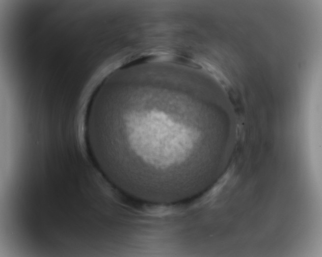 X0000092290293200709211218