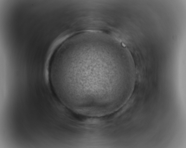 X0000092290294200709211218