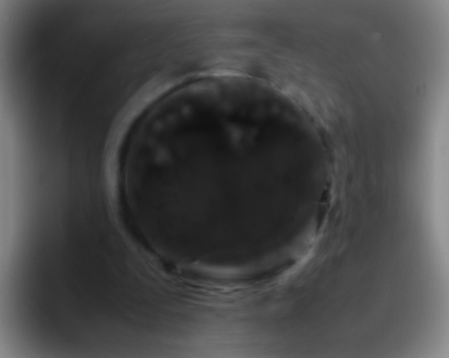 X0000092290295200709211218