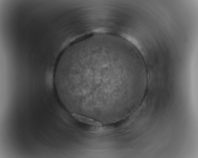 X0000092290297200709211218