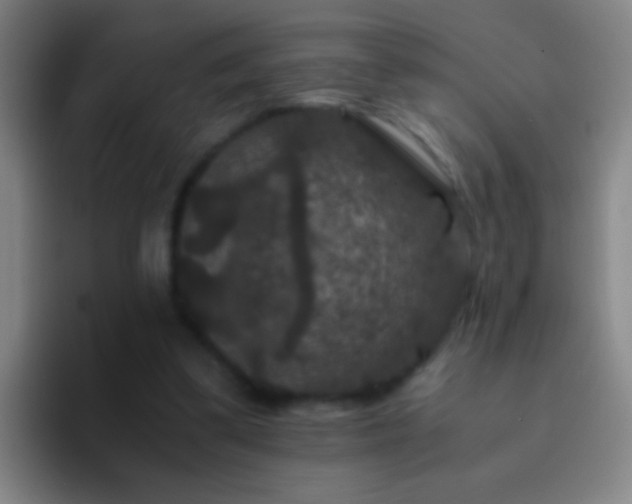 X0000092290299200709211218