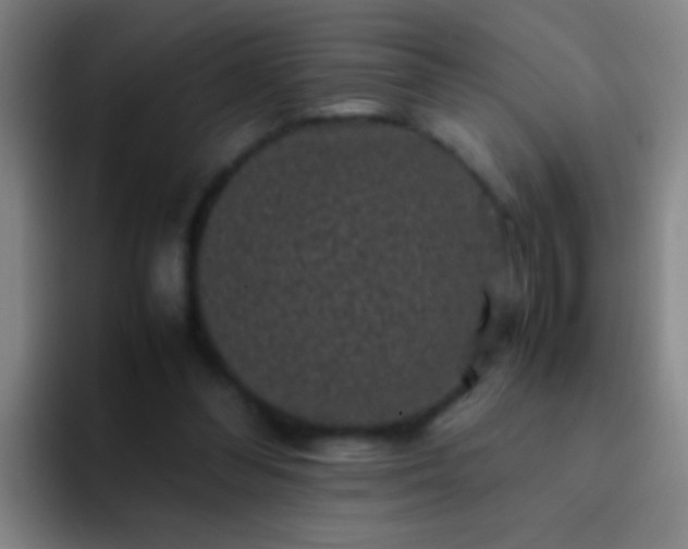 X0000092290300200709211218