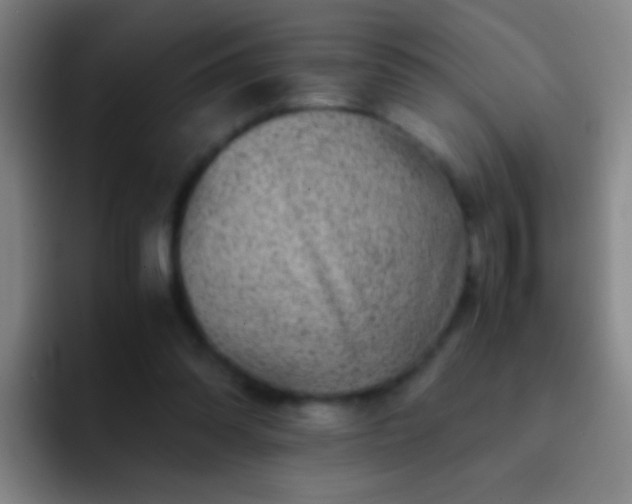 X0000092290302200709211218