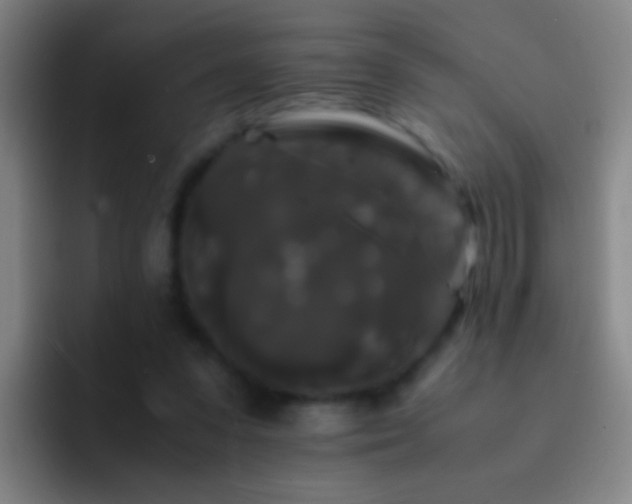 X0000092290303200709211218