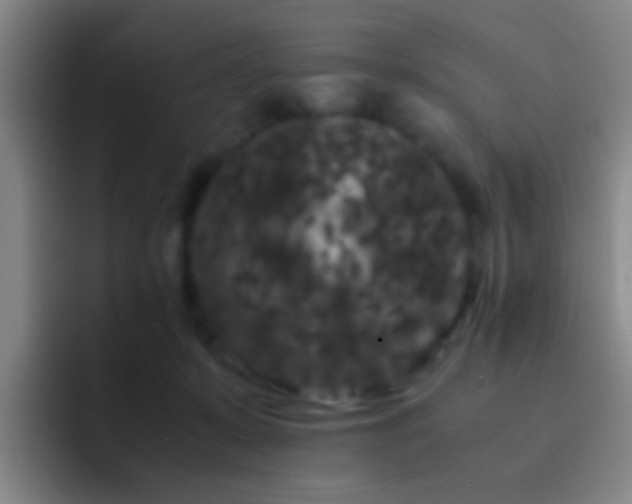 X0000092290319200709211218