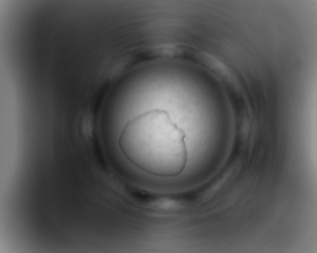 X0000092290326200709211218