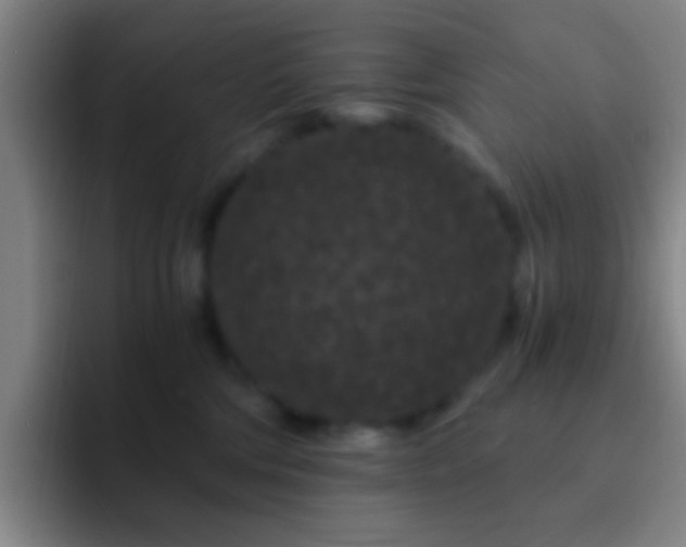 X0000092290330200709211218