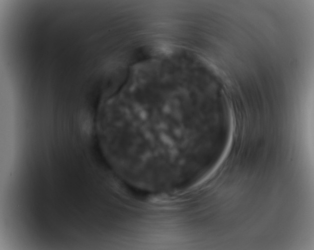 X0000092290331200709211218