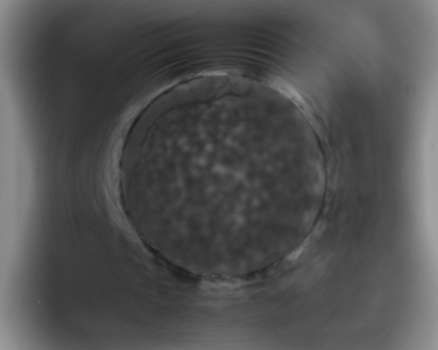 X0000092290337200709211217