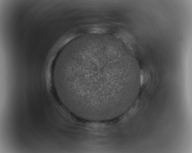 X0000092290339200709211217