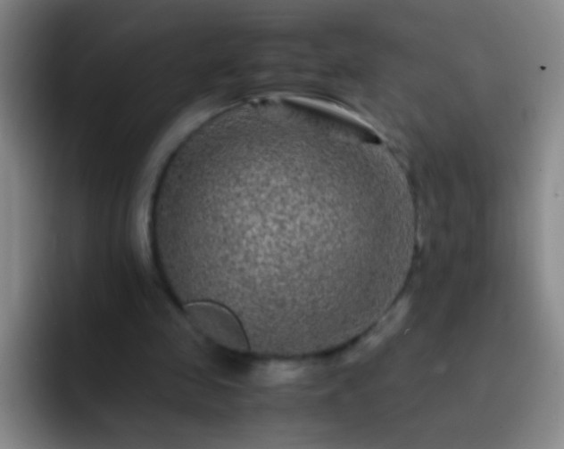 X0000092290341200709211217