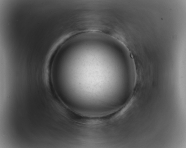 X0000092290342200709211217