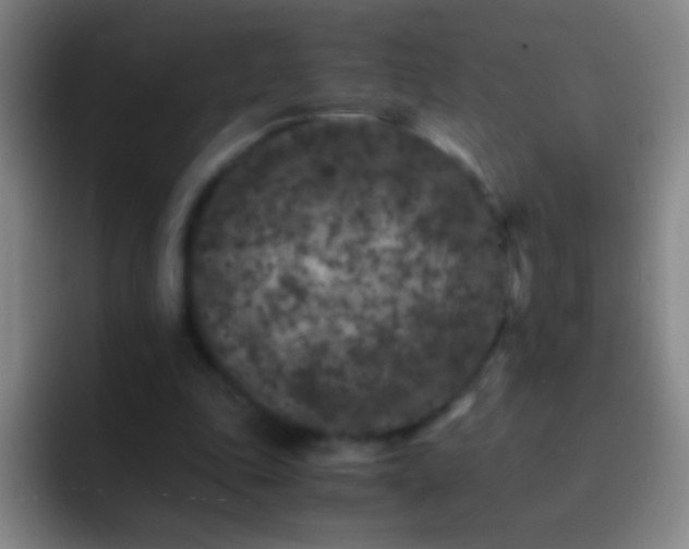 X0000092290343200709211217