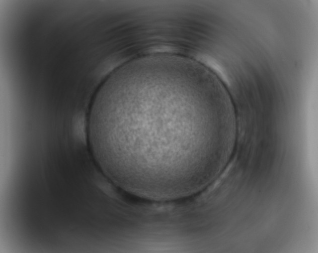 X0000092290345200709211217