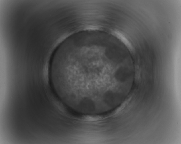 X0000092290346200709211217