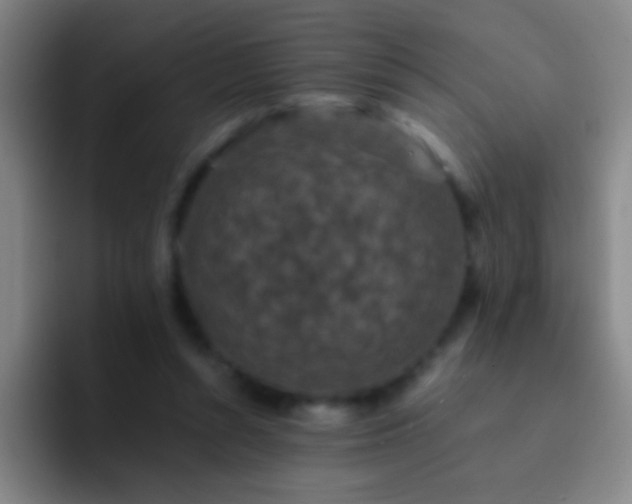 X0000092290352200709211217