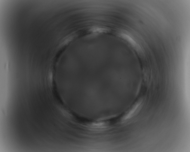 X0000092290357200709211217