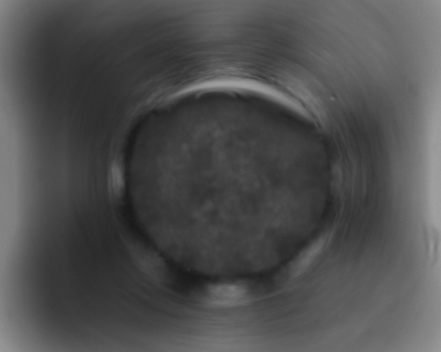 X0000092290358200709211217