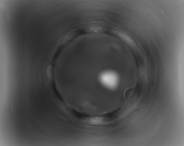 X0000092290361200709211217