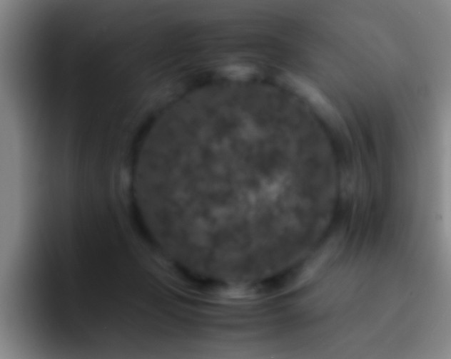 X0000092290365200709211217