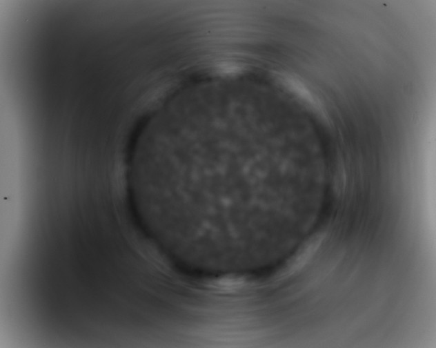 X0000092290366200709211217