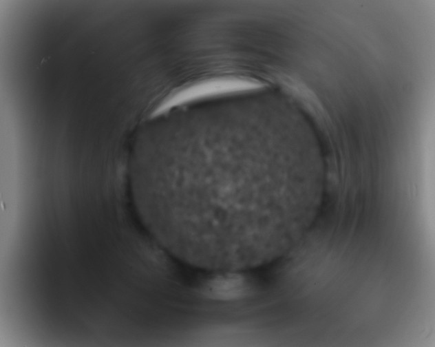 X0000092290369200709211217