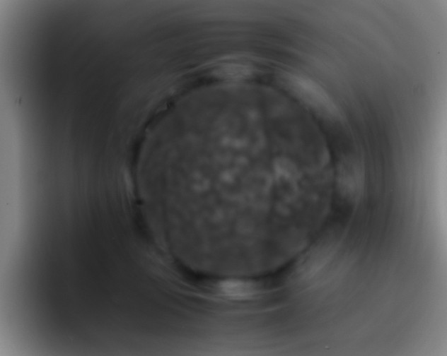 X0000092290371200709211217