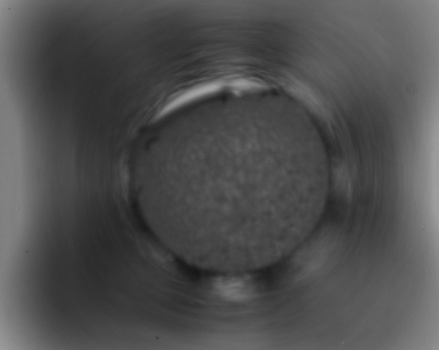 X0000092290373200709211217