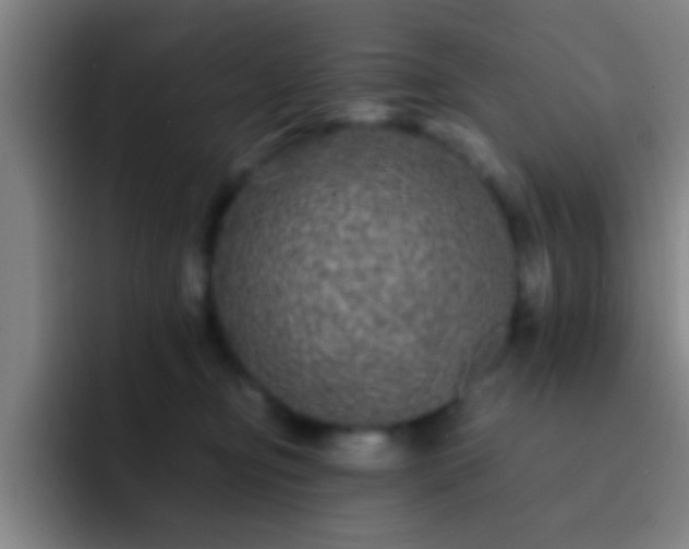 X0000092290374200709211217