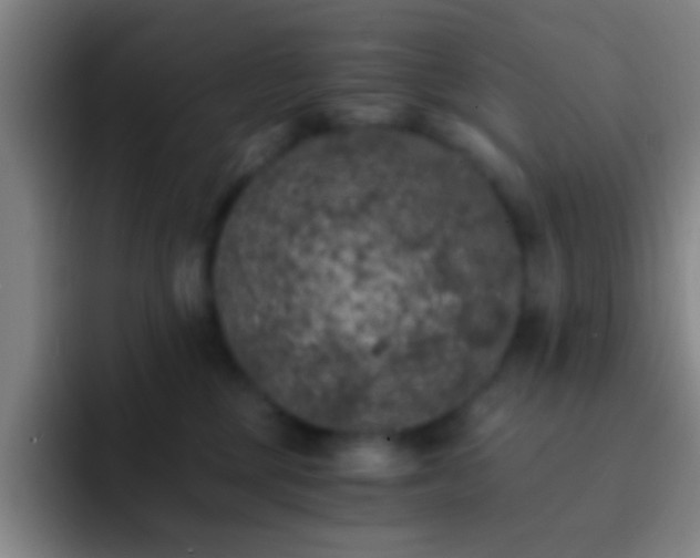 X0000092290377200709211217