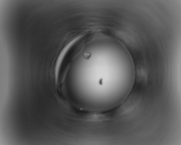 X0000092290379200709211217