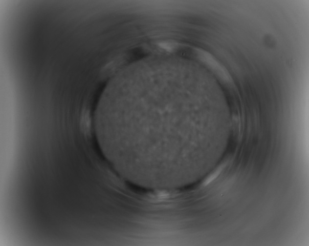 X0000092290381200709211218