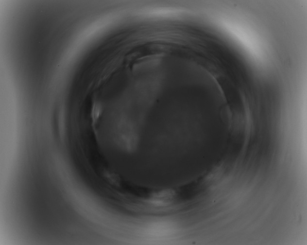 X0000092290382200709211218