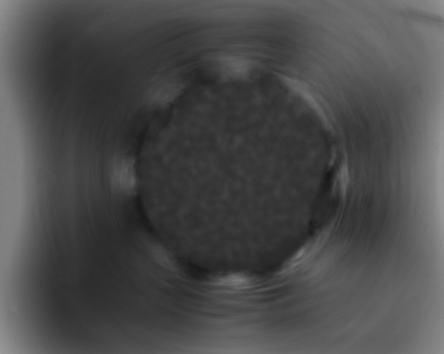 X0000092290383200709211218