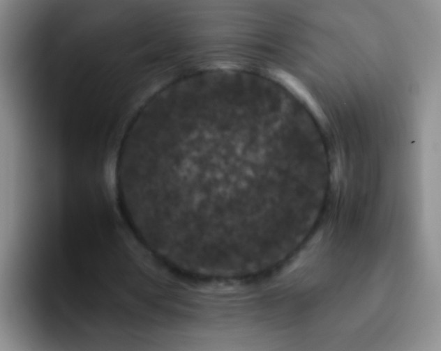 X0000092290386200709211217