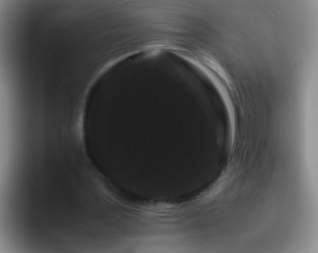 X0000092290387200709211217