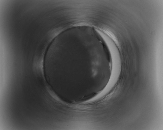 X0000092290389200709211217