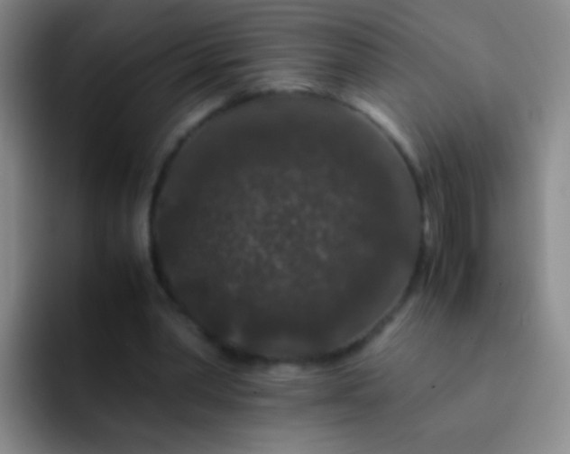 X0000092290390200709211217