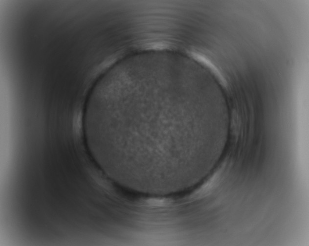 X0000092290394200709211217