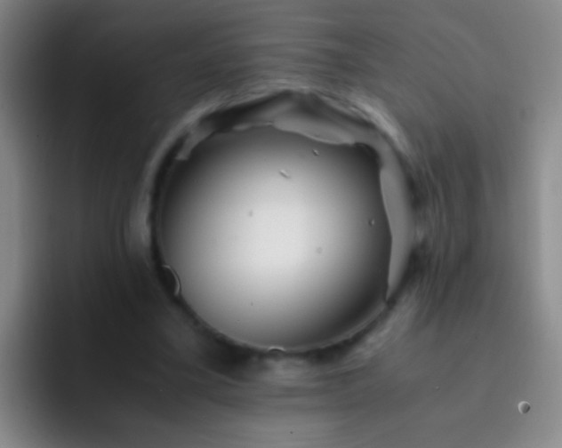 X0000092290395200709211217