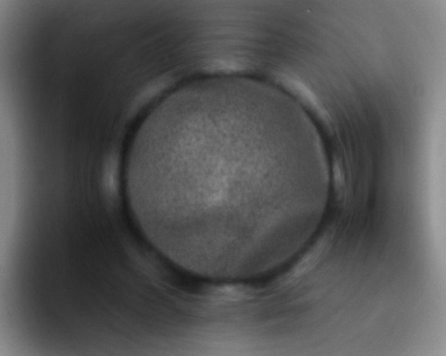 X0000092290396200709211217