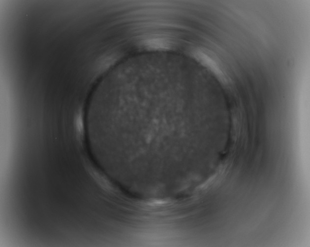 X0000092290398200709211217