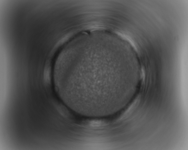 X0000092290400200709211217